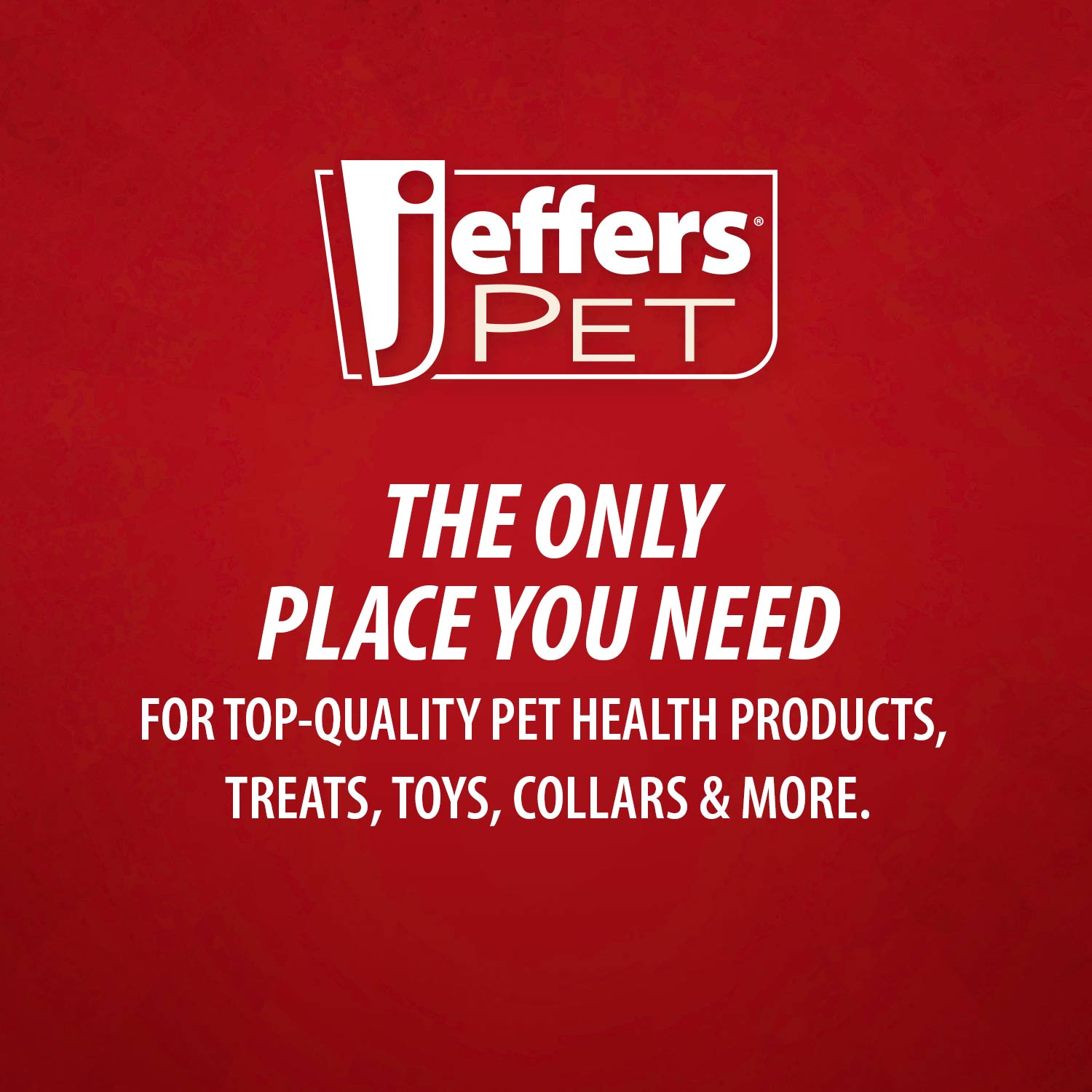 Jeffers Blue Bone Stamped Frisbee Natural Rubber 8 Inch Dog Toy for Fetching & Chewing