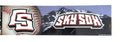 Colorado Springs Skysox BLING Bumper Sticker Flat Vinyl Decal Auto Home Sticker Emblem Baseball Minor League