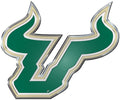 University of South Florida USF Bulls Auto Emblem, Aluminum Metal, Embossed Team Color, Raised Decal Sticker, Full Adhesive Backing