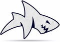 Rico Industries NCAA Mississippi Rebels Shape Cut Mascot Pennant - Home, Living Room, Bedroom, Mancave Decor - Soft Felt Material - Made