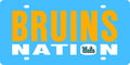 UCLA Bruins Premium Laser Cut Tag License Plate, Nation, Mirrored Acrylic Inlaid, 6x12 Inch