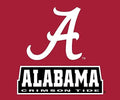 Alabama Crimson Tide RR 5"x6" Vinyl Magnet Auto Home University of