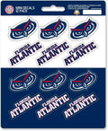 Florida Atlantic University Owls 12-Piece Mini Decal Sticker Set, 5x6 Inch Sheet, Gift for football fans for any hard surfaces around home, automotive, personal items